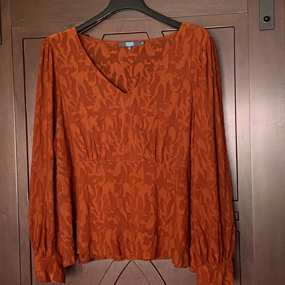 Anthropologie Eva Franco Burnt Umber Long Sleeve blouse.  Plus Size 3X